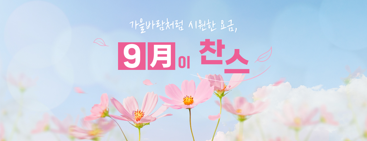 배너이미지